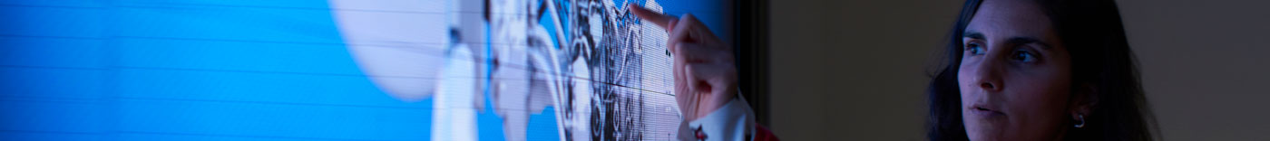 Bild zu Senior Customs Analyst